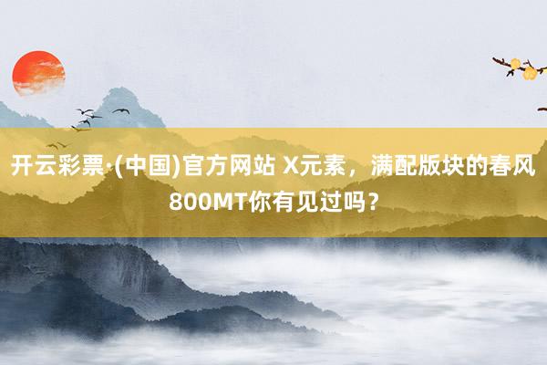 开云彩票·(中国)官方网站 X元素，满配版块的春风800MT你有见过吗？