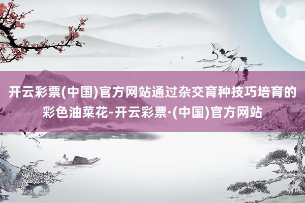 开云彩票(中国)官方网站通过杂交育种技巧培育的彩色油菜花-开云彩票·(中国)官方网站