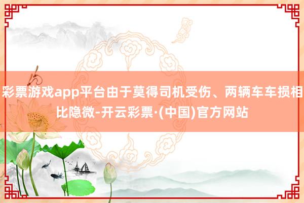 彩票游戏app平台由于莫得司机受伤、两辆车车损相比隐微-开云彩票·(中国)官方网站
