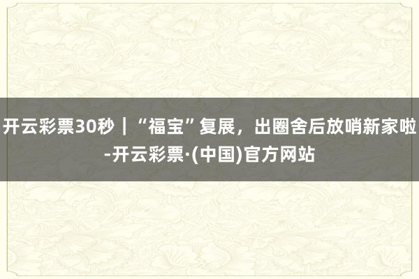 开云彩票30秒｜“福宝”复展，出圈舍后放哨新家啦-开云彩票·(中国)官方网站