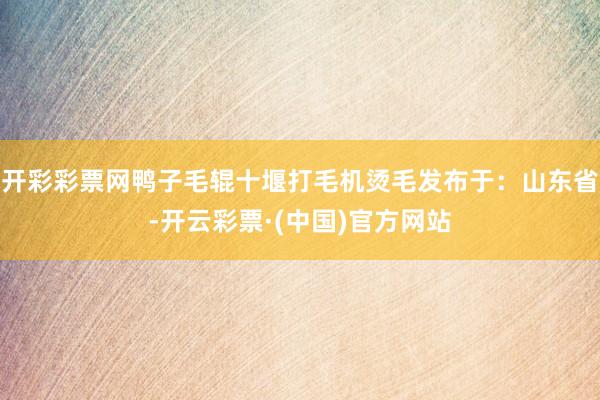 开彩彩票网鸭子毛辊十堰打毛机烫毛发布于：山东省-开云彩票·(中国)官方网站