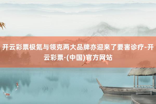 开云彩票极氪与领克两大品牌亦迎来了要害诊疗-开云彩票·(中国)官方网站