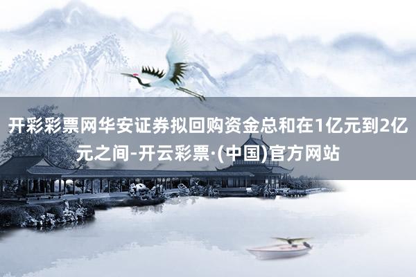 开彩彩票网华安证券拟回购资金总和在1亿元到2亿元之间-开云彩票·(中国)官方网站