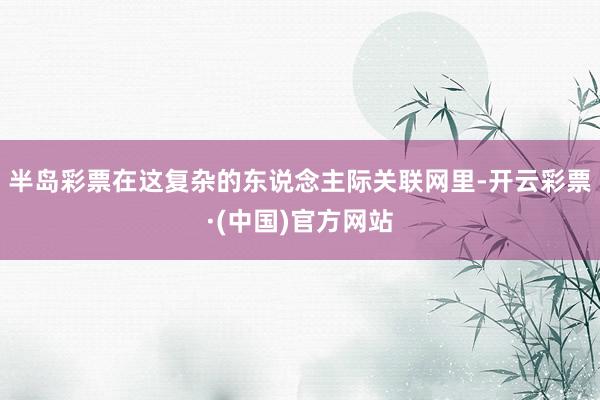 半岛彩票在这复杂的东说念主际关联网里-开云彩票·(中国)官方网站