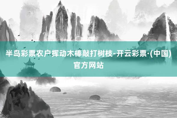 半岛彩票农户挥动木棒敲打树枝-开云彩票·(中国)官方网站
