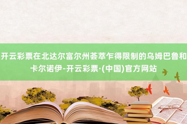 开云彩票在北达尔富尔州荟萃乍得限制的乌姆巴鲁和卡尔诺伊-开云彩票·(中国)官方网站