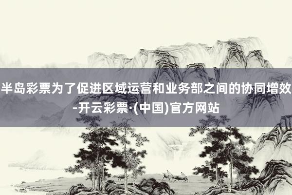 半岛彩票为了促进区域运营和业务部之间的协同增效-开云彩票·(中国)官方网站