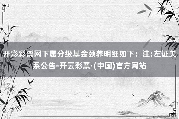 开彩彩票网下属分级基金颐养明细如下：注:左证关系公告-开云彩票·(中国)官方网站