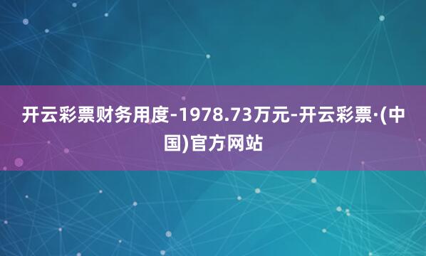 开云彩票财务用度-1978.73万元-开云彩票·(中国)官方网站