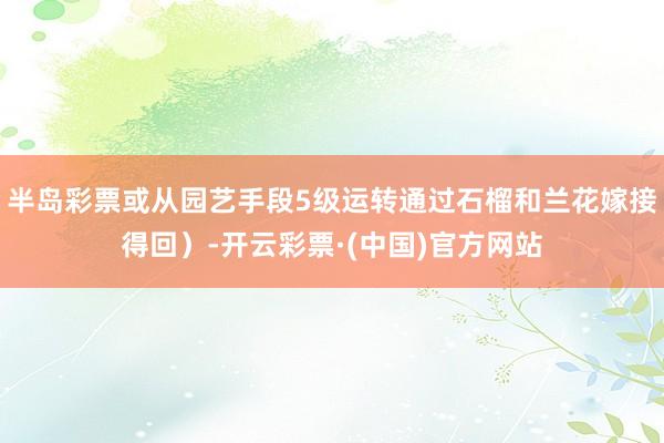 半岛彩票或从园艺手段5级运转通过石榴和兰花嫁接得回）-开云彩票·(中国)官方网站